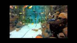 Video Mbuna fütterung von Zerta (7j2QC6H1qyA)