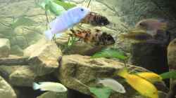 Video Video von Einrichtungsbeispiele.de von Caroline (8KVGN5zjQ4k)