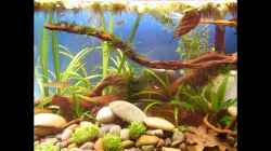 Video Mit Gertrud unterwegs von bergfrau (A1Hy0tpl5OI)