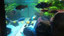 Video  von Oeli (A2OwY4XAO3o)