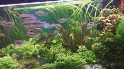 Video Update 19.10.19 von Grünhexe (DUtctuE7ET0)