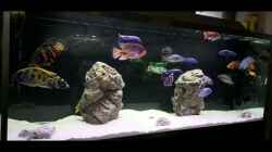 Video V0 von Malawi-Guard (Dgb-E4QqnNY)