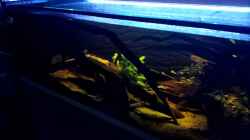 Video Gesamtblick Becken von Tiburón (DwZmWWyqTxE)