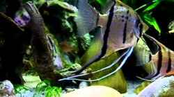 Video New Underworld Teil 2 von snooze (FFzWWwD58_A)