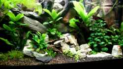 Video 09.06.2013 von Stony (GgFq3oFgh4g)