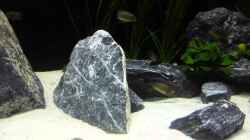 Video Panoramaschwenk von Elsiman (JCMMLeWyJhw)