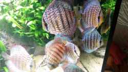 Video Video von Einrichtungsbeispiele.de von master-marko (JYZGPxb0C8c)