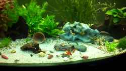 Video 03.02.2012 von baw (Jh_vTl-Lzlc)