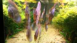 Video Video von Einrichtungsbeispiele.de von master-marko (K-1Yb3yIZXI)