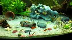 Video 24.01.2012 von baw (KeoGdCZ4jPM)