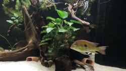 Video neu eingerichtet von Fichte (LGUd6Vyhe7o)