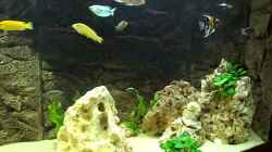 Video Malawi Becken 400l von Aspel82 (LJHHQbkXigw)