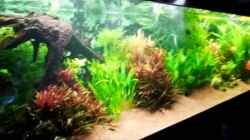 Video Unser Becken von Mella (MFqH9tXl47E)