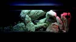 Video Kurzübersicht von TH (OEpl9Q1Zwdg)