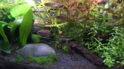 Video Fütterung von Tim1979 (OorojWBfIXk)