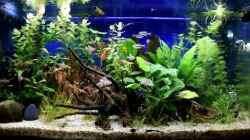 Video Ansicht Südamerika Becken von Acki50 (QZSOsYFgmew)