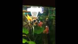 Video Video von Einrichtungsbeispiele.de von Muschelherz (QZfq7eycZp4)