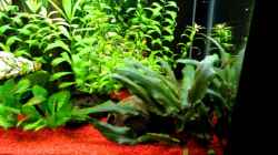 Video Kurzer Einblick von Hobbl (R-6wGMgH-kI)