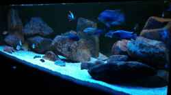 Video  von Oeli (SLbdaEZsRLc)