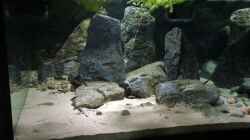 Video Cyprichromisbecken totale  von Monaco (TtpJsC22raw)