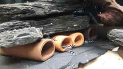 Video 4 Generationen von Thomas De Vries (TxuQbFMkhUY)