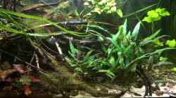 Video Frontansicht von NaMo (UOVPjOyph-k)