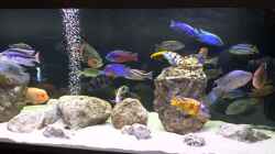 Video neuestes von Malawi-Guard (VGCOBy1rHuk)