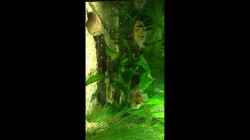 Video bolv. sbb mit Nachwuchs von Dirri S (XehL5i5t7gw)