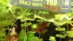 Video Einblick 3 von . (XnF577fRRYo)