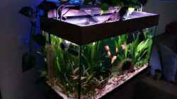 Video Sumatra asks for party von djoser (ZWNPwJAG2uQ)