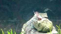 Video  von Andi*Sehlde (_Yzyxvzpipg)