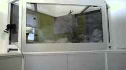 Video Einrichtung  / Dekoration Malawibecken von Tobias.Neher (_pjWFM_kqik)