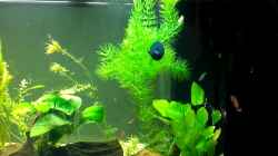 Video 23.01.2012 von baw (aW7DrJq-Qms)