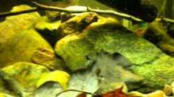 Video Mittelamerikabecken ??bersicht von Benjamin Hamann (cT9rq4BAP0E)