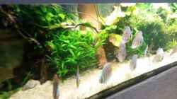 Video Video von Einrichtungsbeispiele.de von master-marko (f83_LWTa4Y4)