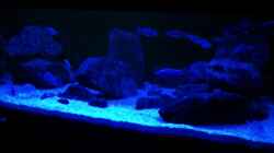 Video  von Oeli (frigVu1t91w)