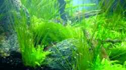 Video i´m Working von Chris_R. (hBkuEU8-8zk)