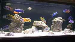 Video V von Malawi-Guard (hqSBJAMSK9k)