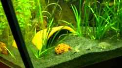 Video  von Günther Kröger (iMNfVddp8L8)