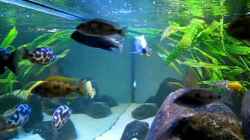 Video  von Oeli (iTNBqTLu6Uk)