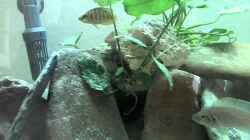 Video Video von Einrichtungsbeispiele.de von Patrick Scheffer (jXSK6L2Imbg)