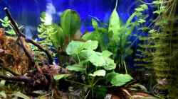 Video Ansicht Südamerika Becken von Acki50 (krlHW11O5Qo)