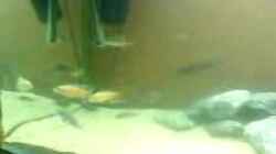 Video malawi von Ron Tscherner (lRTxQO_iUXA)