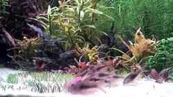 Video Fressen und gefressen werden von Lotte und Hendo (m4kZWILJxFI)