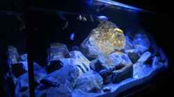 Video Futtersuche von Malawi_Einsteiger (mcQRR4yGn-g)