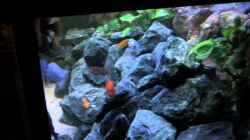 Video  von Uwe Heit (uR7CFaydjrY)