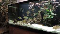 Video Impressionen von Fichte (vH9KfpikFBk)