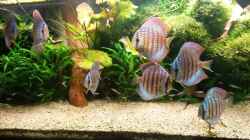 Video Video von Einrichtungsbeispiele.de von master-marko (wYckyStg0EY)