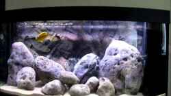 Video Malawi Becken von Hörnchen (y0jGf0jzEAo)