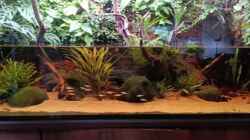 Video Rivarium 120x50x60 von Junglist (yDOrz2LN8h4)